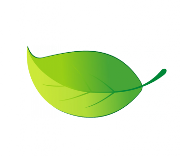 leaf.png