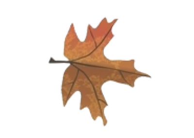 leaf2.png