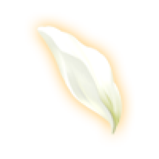 lily_petal_02.png