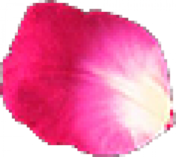 petal.png