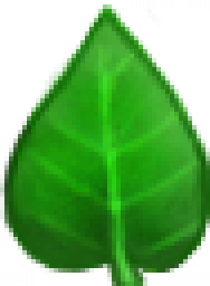 leaf.png