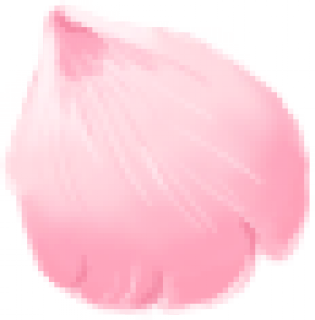 petals.png