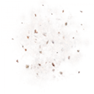 Stones_sand_00.png