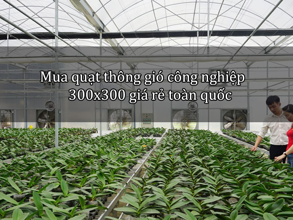 Mua quạt hút công nghiệp 400x400 ở đâu?