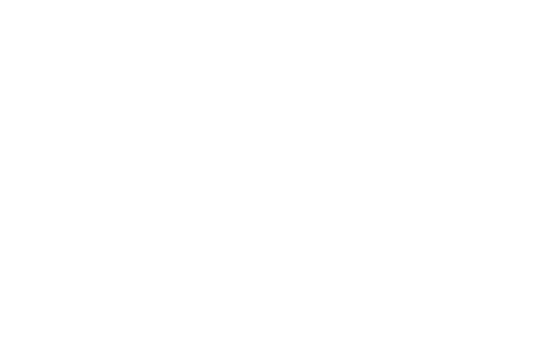 particle_vortex2.png