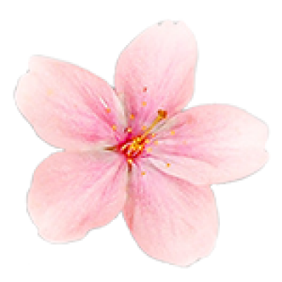 flower.png