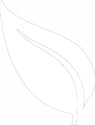 pngfind.com-leaf-icon-png-1408586.png