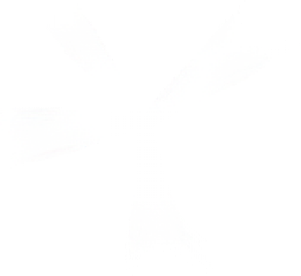 radial-rays.png