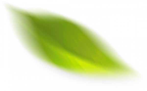 leaf 2.png