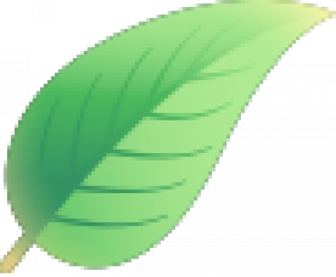 leaf.png