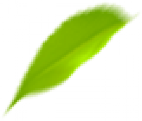 FX_Leaf.png