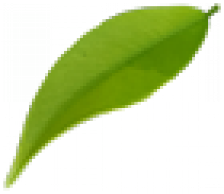 Leaf1.png