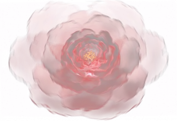 dlmj_fhxy_flower.png