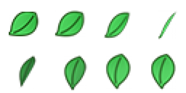 leaf_s_1.png