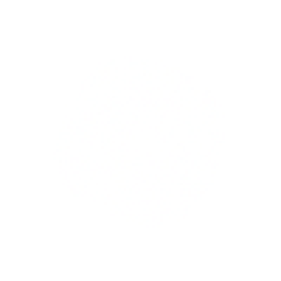 星光5-50x50.png