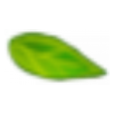 leaf_1.png