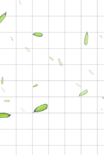 particle_飘叶