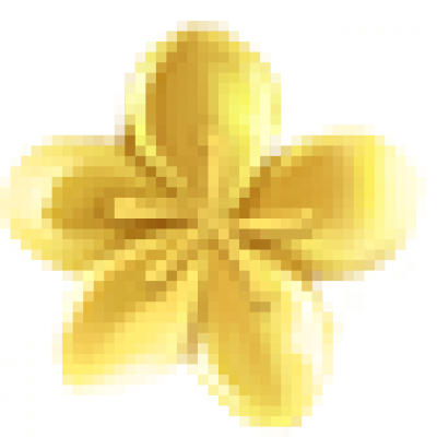 vx_cj_flower.png