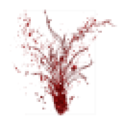 blood_005_00000.png