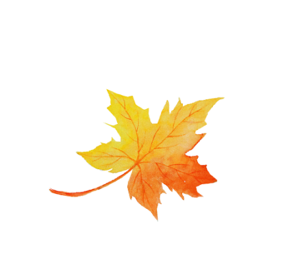 particle_maple_leaf.png