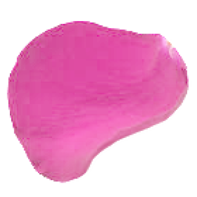 petal_00.png