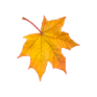 AAAAAAAAAAUTUMN.png