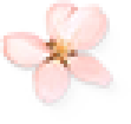 flower_2.png