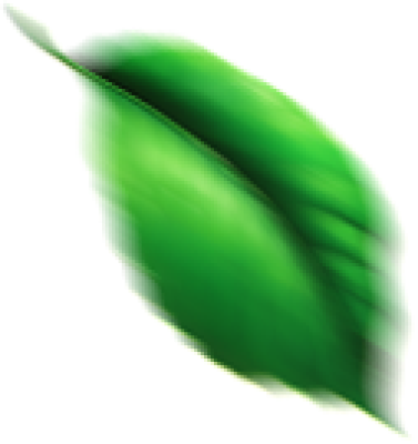 leaf-particle.png