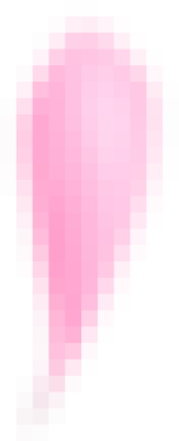 flower_petal.png