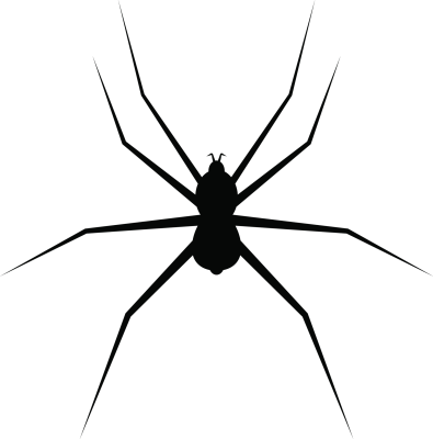 spider-clipart-design-illustration-free-png.png