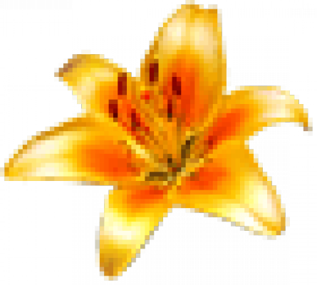 flower_fly.png