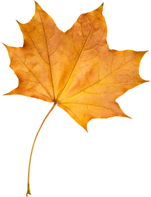 leaf.png