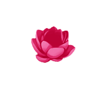 flower.png