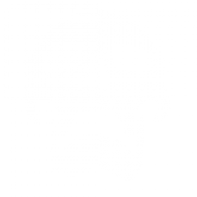 skull_2.png