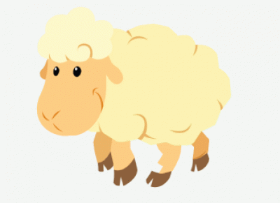 Sheep