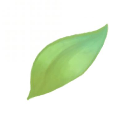 eye_fxl_leaf_002.png