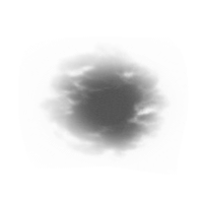 particle_cloud 2_00000.png