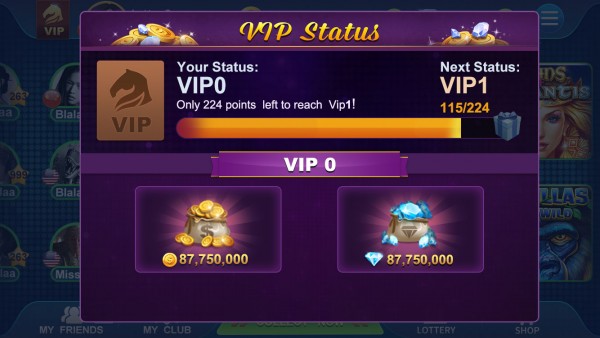 VIP2018.jpg