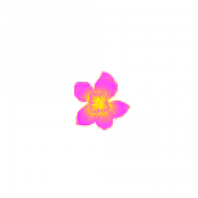 花瓣1_00000.png